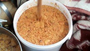 Фруктовые браги на диких дрожжах.