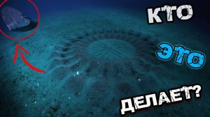 ТАЙНА ЗАГАДОЧНЫХ КРУГОВ РАСКРЫТА! | СТРАННЫЕ ЯВЛЕНИЯ | ТАИНСТВЕННЫЕ МЕСТА