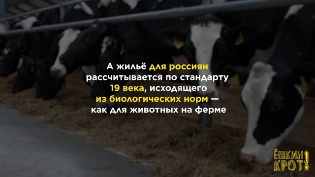 Как жить на 6-ти квадратных метрах? смотреть онлайн