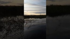 На охоте. Мотор болотоход 13 л.с лодка казанка