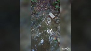 Как найти палаточный лагерь у Мыса Кадош в Туапсе?