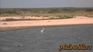 Камышеватская коса Экскурсия из Ейска