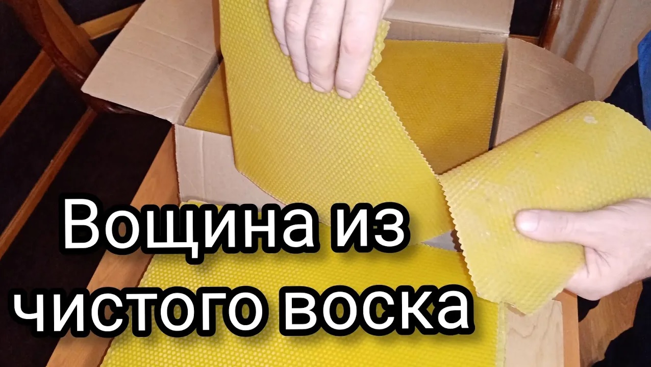 Хрупкая или нет, вощина из чистого воска. смотреть онлайн