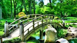 RELAX MUSIC Китайская музыка для релакса