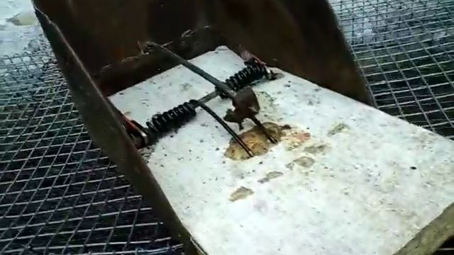 Крысоловки своими руками смотреть онлайн