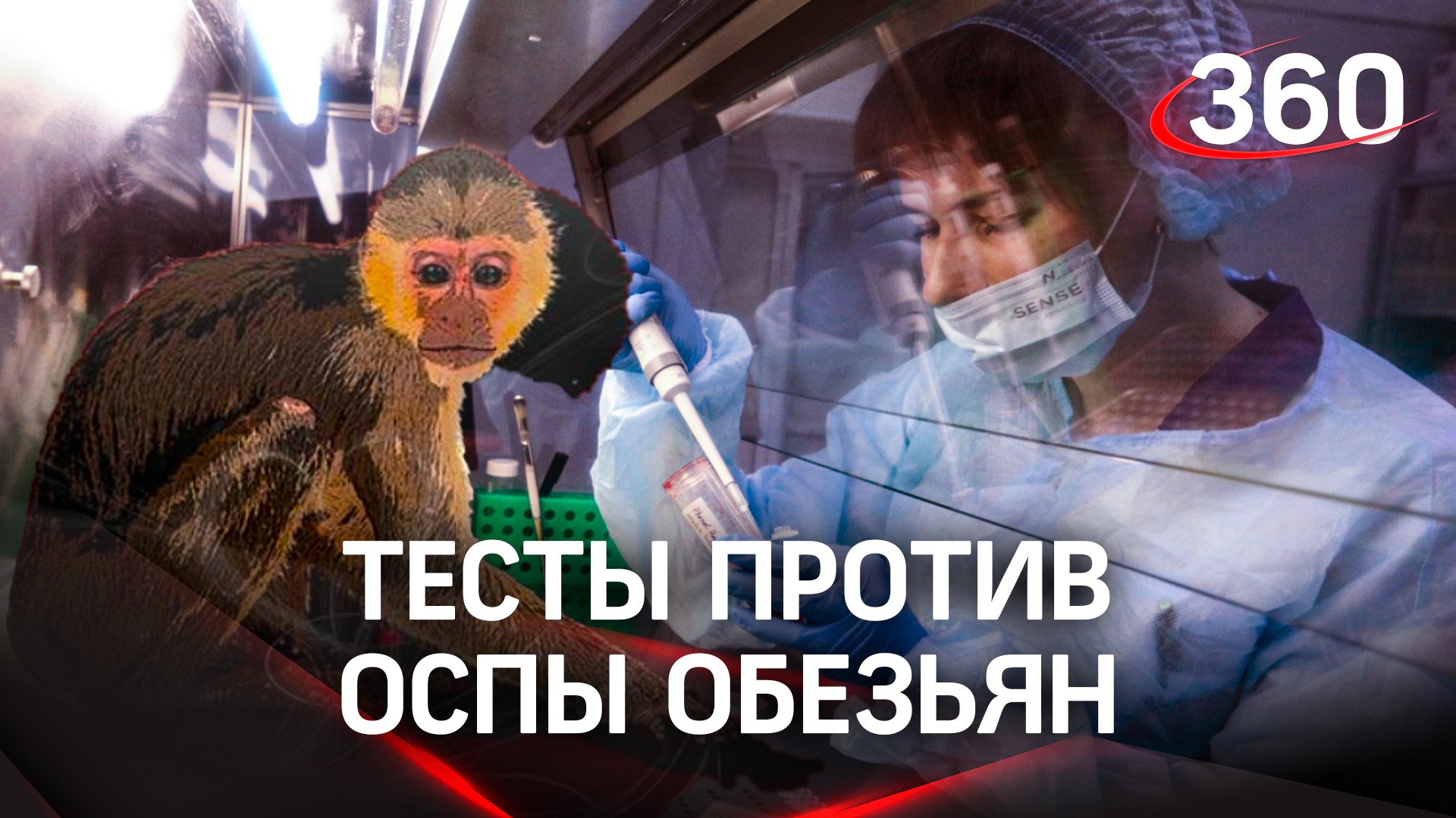 Оспа обезьян: вакцины нет, но можно не бояться