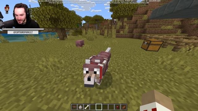 Minecraft: Armadillos and Wolf Armor смотреть онлайн