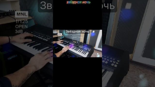 Звёздная ночь на синтезаторе #шатунов #ласковыймай #звезднаяночь #2023