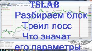 TSLab. Разбираем блок Треил лосс. Что значат его параметры