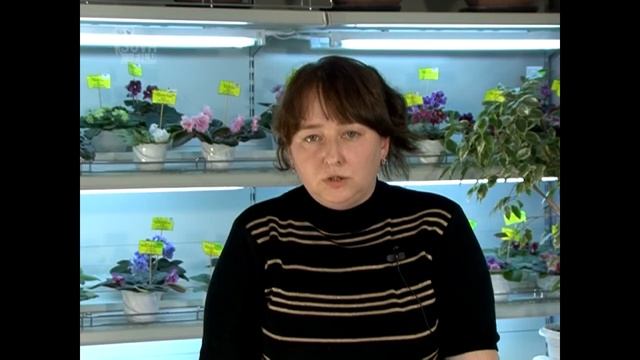 7_Общие рекомендации. Уход за комнатными растениями.Часть 1