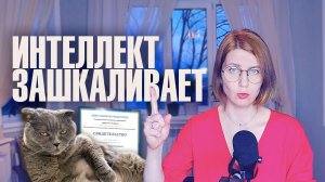 Мой кот умнее Алисы Тепляковой. Провожу эксперименты с котом: кот смотрит лекции и сдает тесты