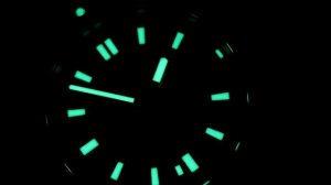 SEIKO SPB297 - The "Blue Birch" Diver Review