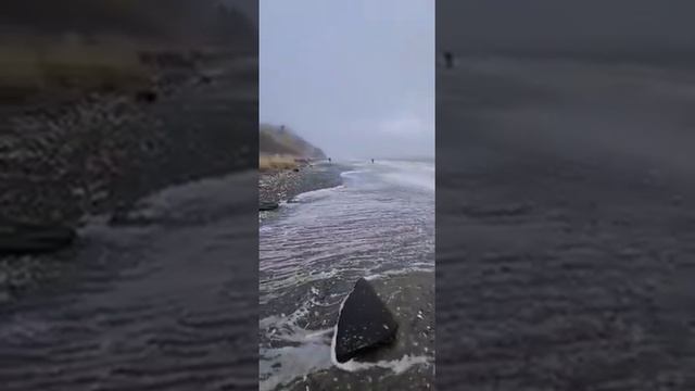 СОБРАЛИ ПРЯМ ОЧЕНЬ МНОГО ГРЕБЕШКА. гребеШОК. смотреть онлайн