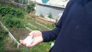 Бабадук в реальной жизни!!!