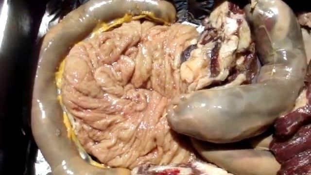 куча деликатесов по казахски, из канины смотреть онлайн