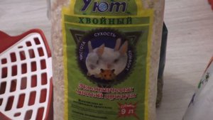 УХОД ЗА КРОЛИКОМ / ДЕНЬ С КРОЛИКОМ / как ухаживать за кроликом / советы / КАК Я УХАЖИВАЮ ЗА КРОЛИКО