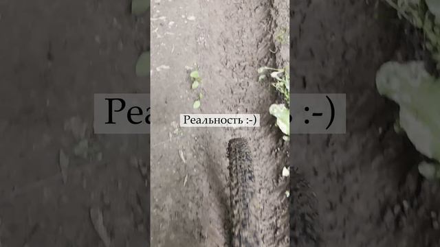 Решил покататься - Ожидание / реальность #shorts #shulz #wanderer #gravelbike #gravel #мем #приколы