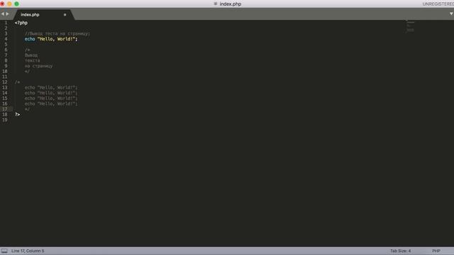 Основной синтаксис PHP. Переменные в PHP. Типы данных в PHP