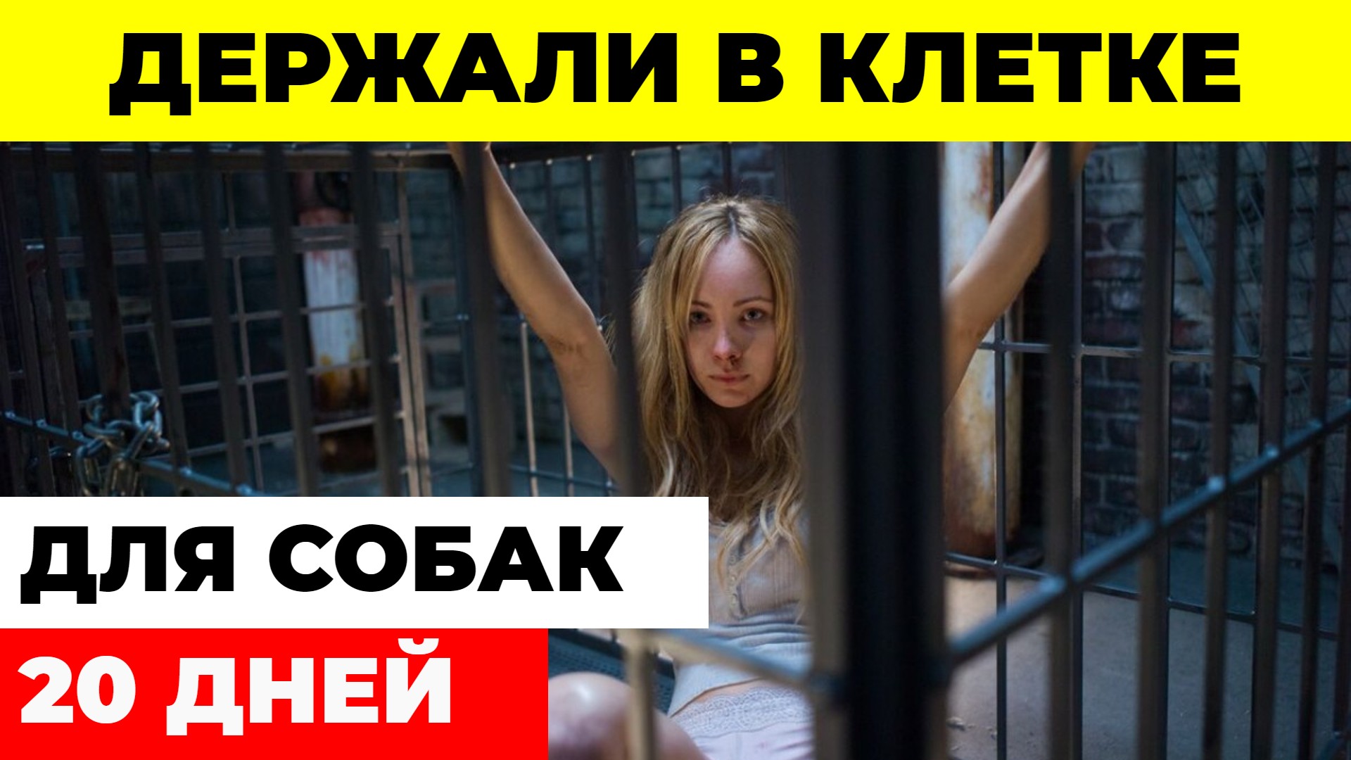 Китайскую туристку похитили из ночного клуба и 20 дней удерживали в клетке для собак смотреть онлайн