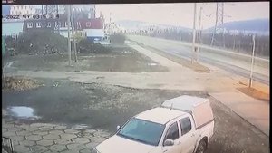 Медведь в Магадане. ул.Наб.р.Магаданки 13