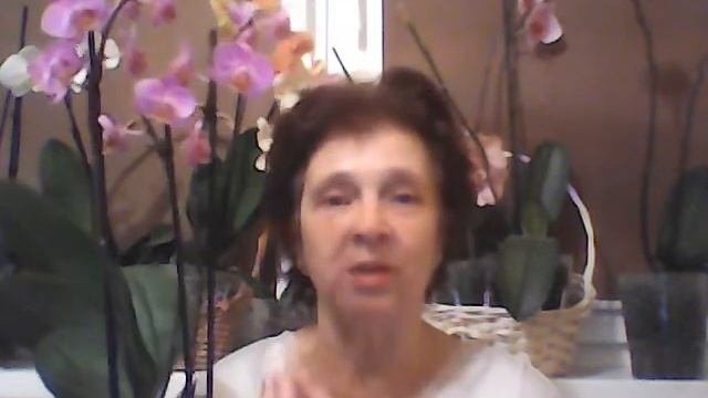 Радуйте себя ОРХИДЕЯМИ! смотреть онлайн