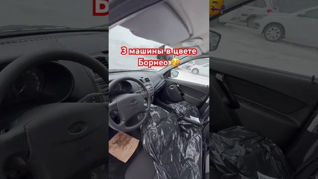 Ну наконец то появился цвет Борнео ???? #lada #лада #ладагранта #ladagranta