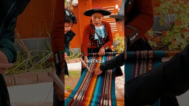 Альпаки в Перу.