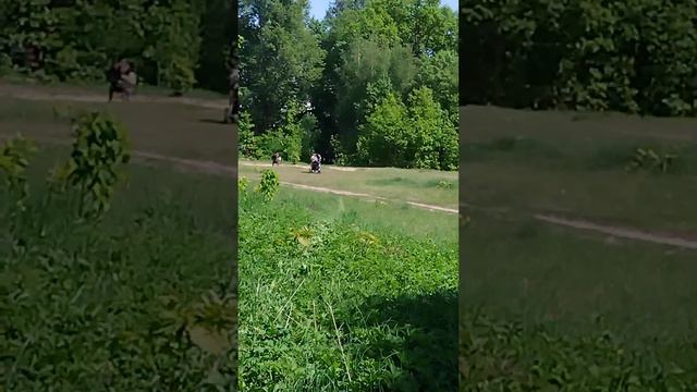 Румболовская гора Всеволожск