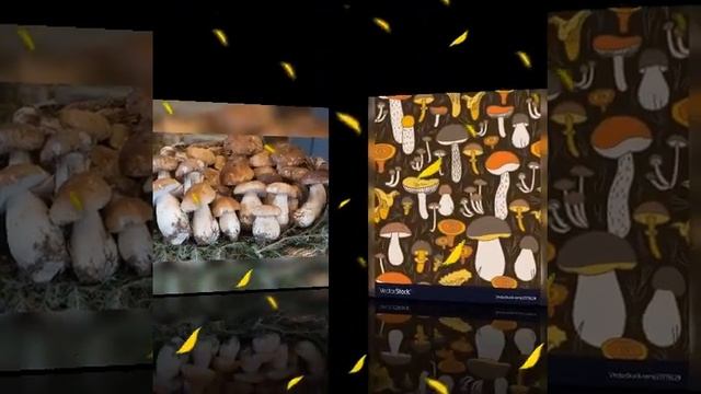 собираем ягоды грибы осенний листопад 2022 года смотреть онлайн