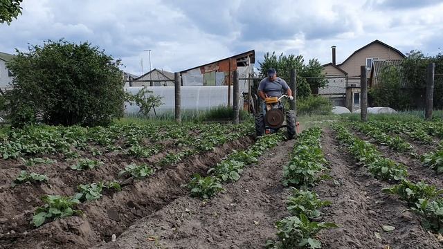 Дисковый окучник для мотоблока смотреть онлайн