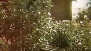 Владимир Трошин. Наши мамы.