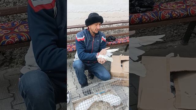 11 февраля 2023 г. смотреть онлайн