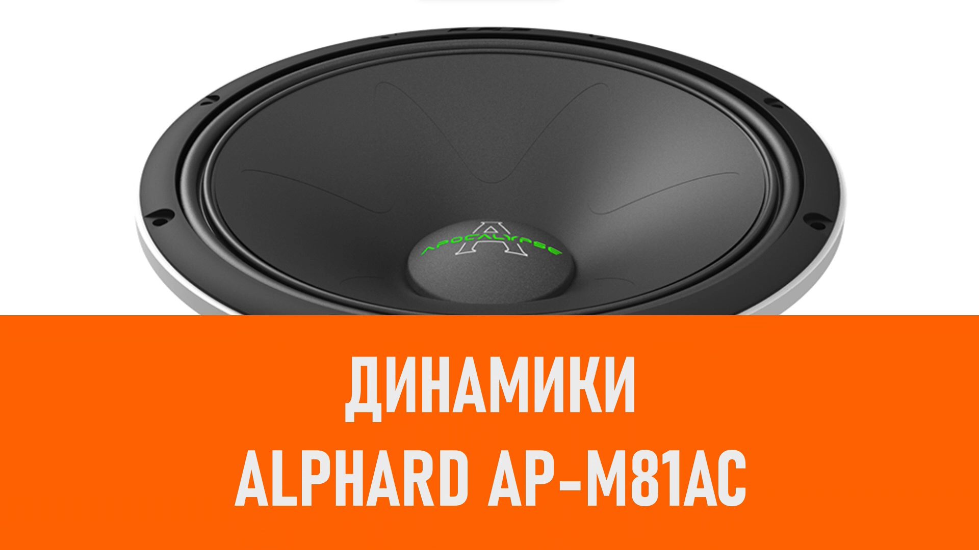 Распаковка динамиков Alphard Apocalypse AP-M81AC