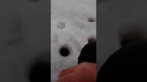 когалым рыбалка на озере