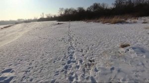 Тест патронов с крахмалом на кучность