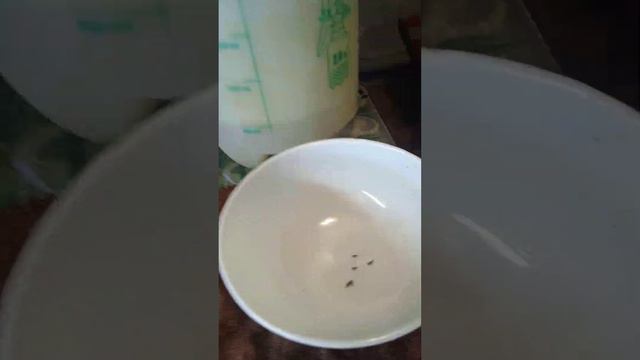 перш посадки квтв 181223 року