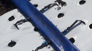 Чишминский плодопитомник