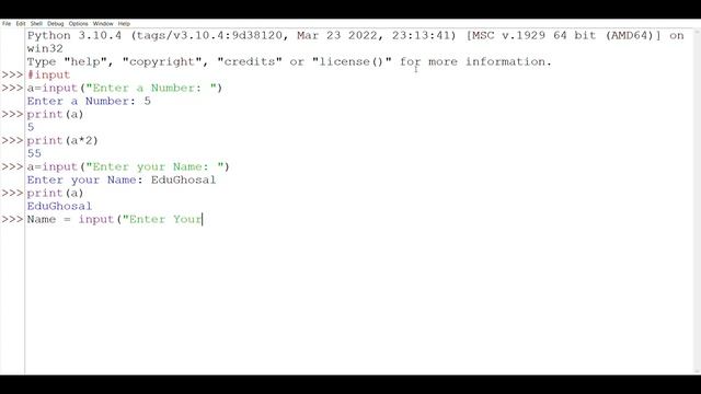 HOW TO USE VARIABLES, INPUT, AND INT  IN PYTHON || Python Programming ||