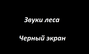Звуки леса Черный экран | Звуки природы | Темный экран Звуки леса | Дзен Сад