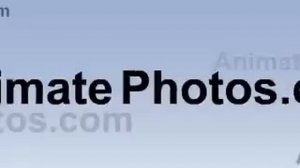 Dancing Cats - Go Kitty Go! - 1 hour