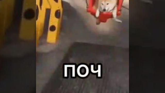 поч