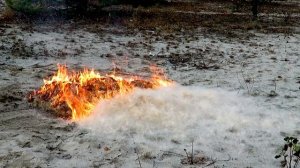 ЧТО БУДЕТ ЕСЛИ СЖЕЧЬ ДОХРЕНА ПУХА С КАМЫШЕЙ? "ВАЖНО ГРОМКОЕ НАЗВАНИЕ"
