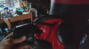 Боксёрские перчатки за 5€ с германского блошиного рынка и Барс бесплатно в белорусской деревне ?