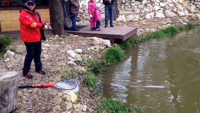 ловля форели