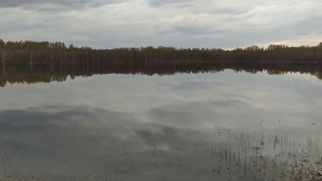 Место Силы Град Китеж Озеро Светлояр