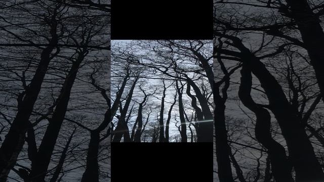 Отчего люди не летают…