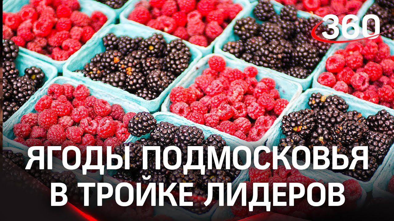 Ягоды Подмосковья -  в тройке лидеров лучших продуктов. Голосование продолжается.