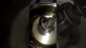 термостат L200