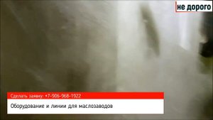Пресс горячего отжима подсолнечного масла. Оборудование для прессования мезги