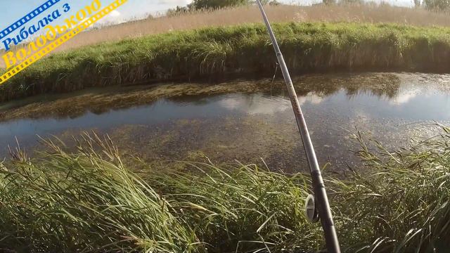 Рибалка на боковий кивок після дощу! Риболовля в травні! Боковий кивок в травні! Бічний кивок весно